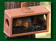 bf_munch_view_2021.jpg